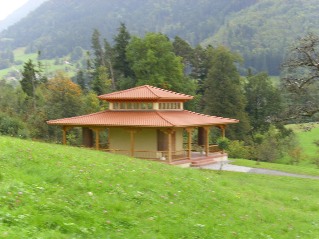 Igelfamilie 061.JPG