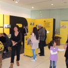 DSCN4899_JPG-1350000295