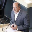 Holub 06.jpg