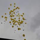 DSC_0110_JPG-1350046298