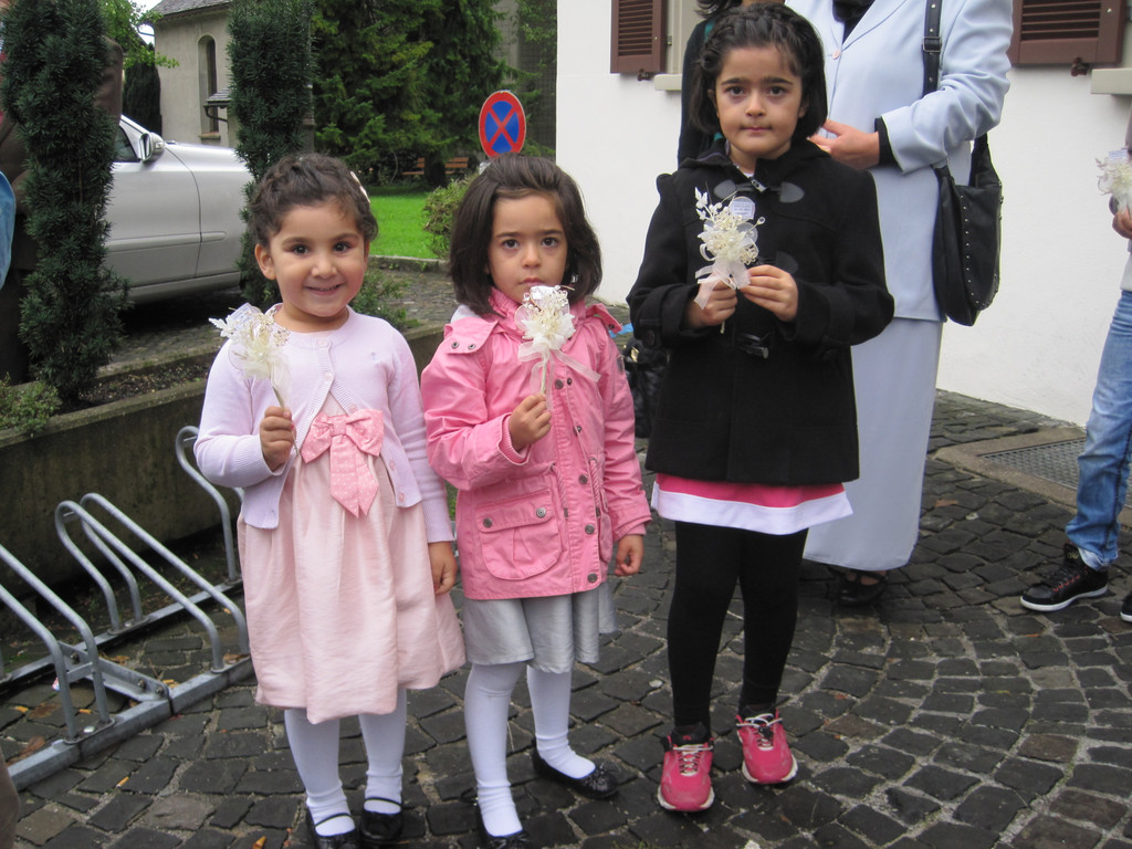 IMG_5487_JPG-1350076469