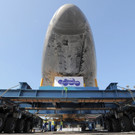 IBD0235-20121013.jpg