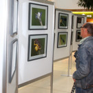 Ausstellung KL KL  2012 005_jpg-1350124325