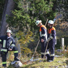 normal_12102012schoenauaktvnewsde01005_091.JPG