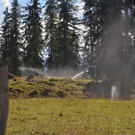 normal_12102012schoenauaktvnewsde01005_198.JPG