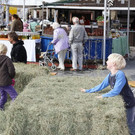 normal_13102012fmt_biomarkt_mw_023.JPG