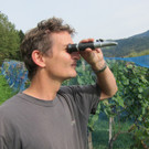 KOE_Traubenlese Chardonnay 2_jpg-1350148906