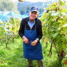 KOE_Traubenlese Chardonnay 5_jpg-1350148934