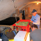 KOE_Traubenlese Chardonnay 23_jpg-1350149079