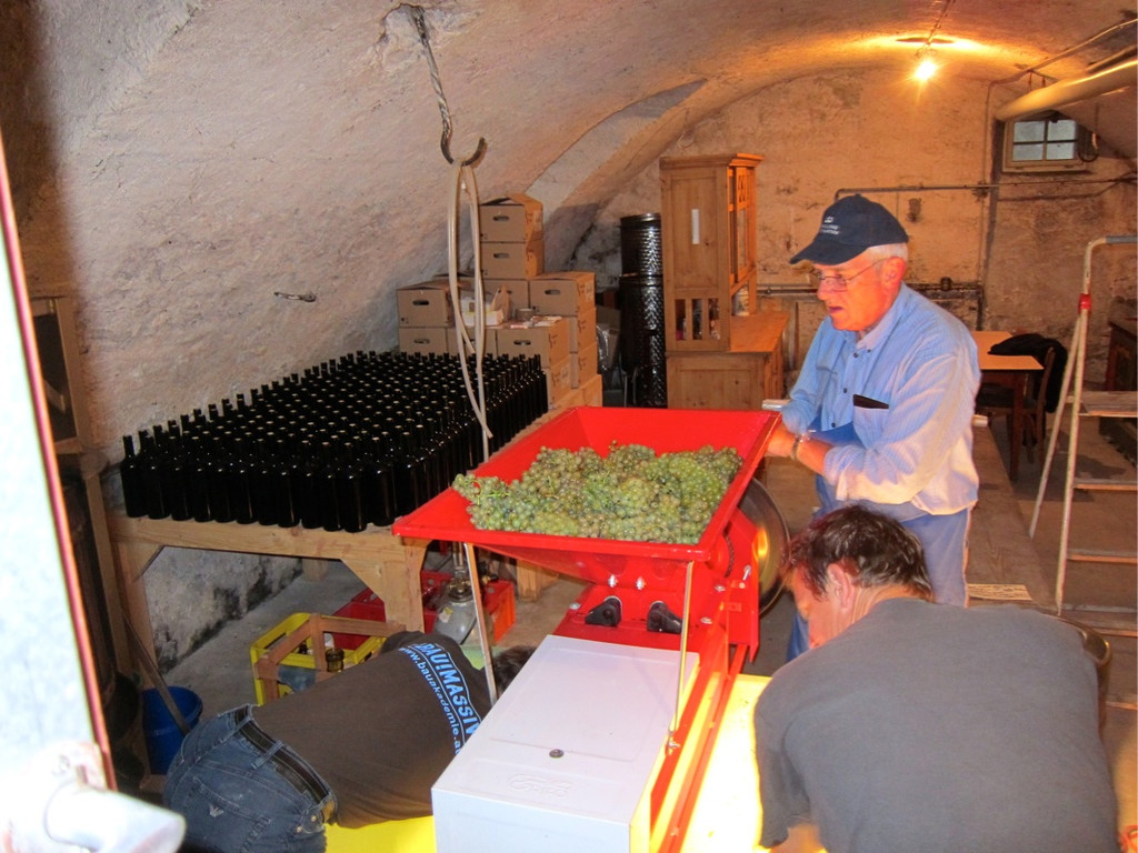 KOE_Traubenlese Chardonnay 23_jpg-1350149079