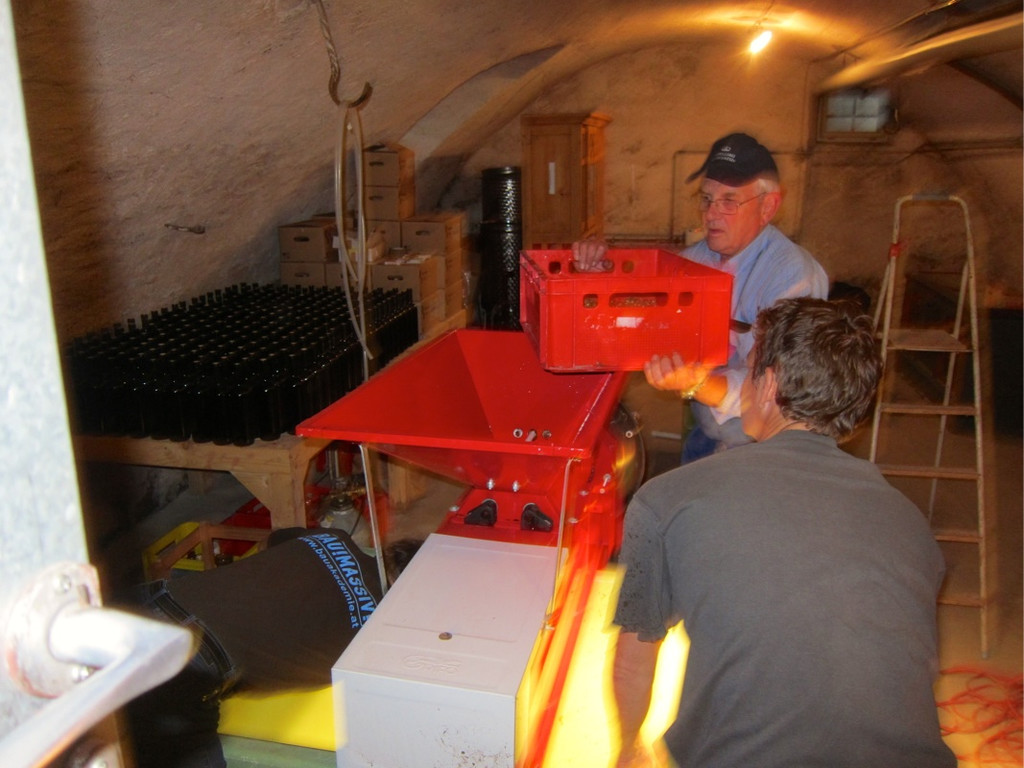 KOE_Traubenlese Chardonnay 25_jpg-1350149090