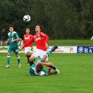 13102012fmt_anifwattens_ta_007.JPG