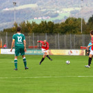 13102012fmt_anifwattens_ta_006.JPG