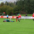 13102012fmt_anifwattens_ta_005.JPG