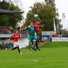 13102012fmt_anifwattens_ta_011.JPG
