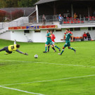 13102012fmt_anifwattens_ta_014.JPG