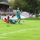 13102012fmt_anifwattens_ta_017.JPG