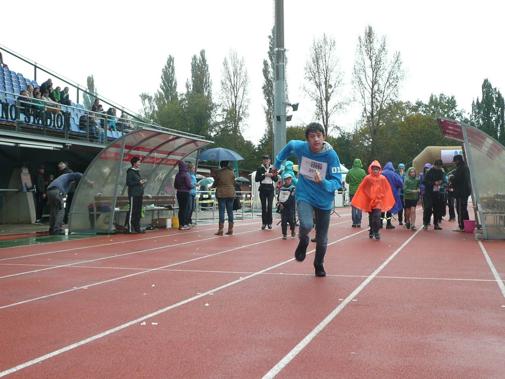 P1090641.jpg