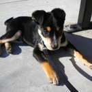dscn0126.jpg
