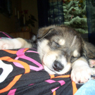 esther1_14_20070427105502_big.jpg