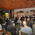 wige4_jpg-1350236258