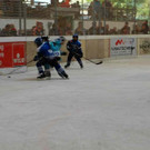 DSC_0481.JPG