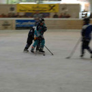 DSC_0485.JPG
