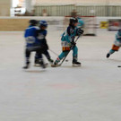 DSC_0486.JPG