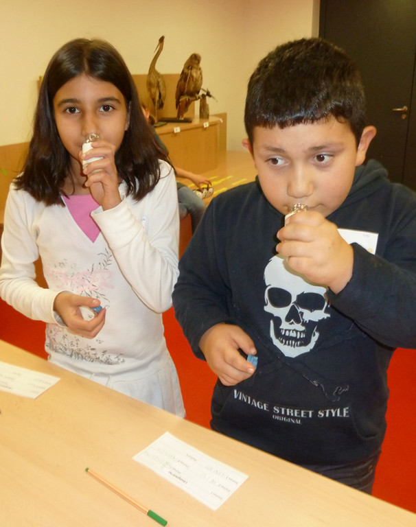 SMS7a_jpg-1350241314