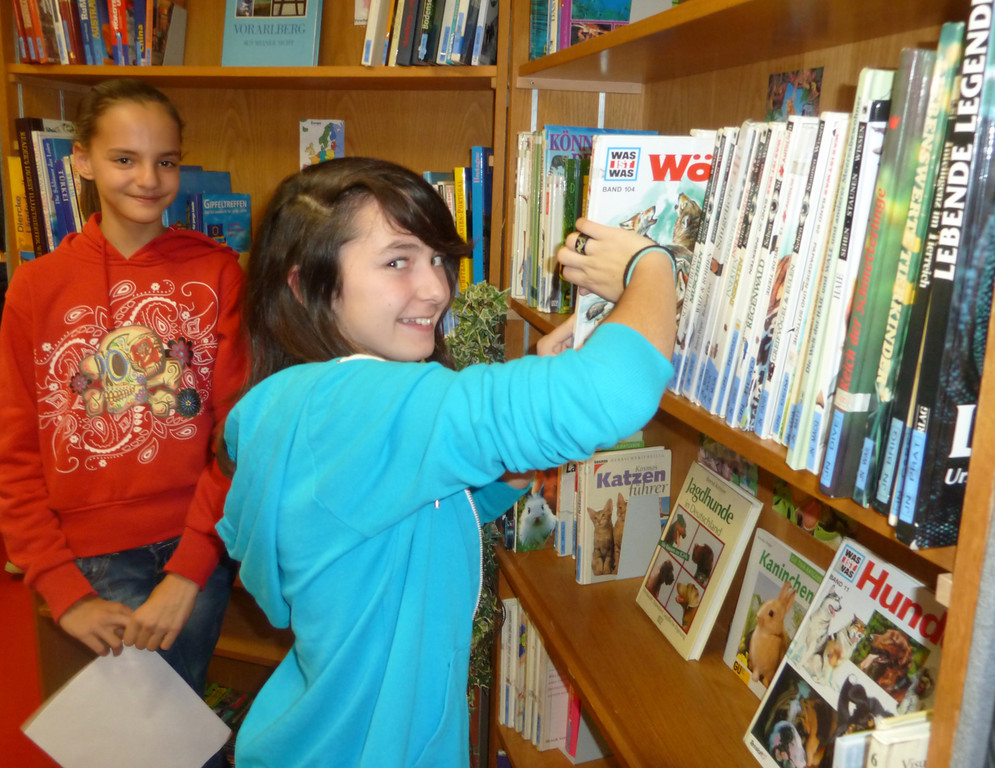 SMS7b_jpg-1350241322