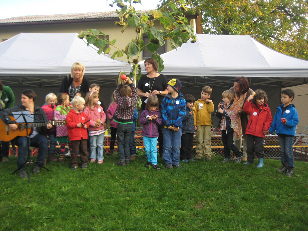 grilla_jpg 101_jpg-1350245166