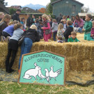 grilla_jpg 205_jpg-1350251160
