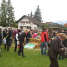 grilla_jpg 240_jpg-1350251198