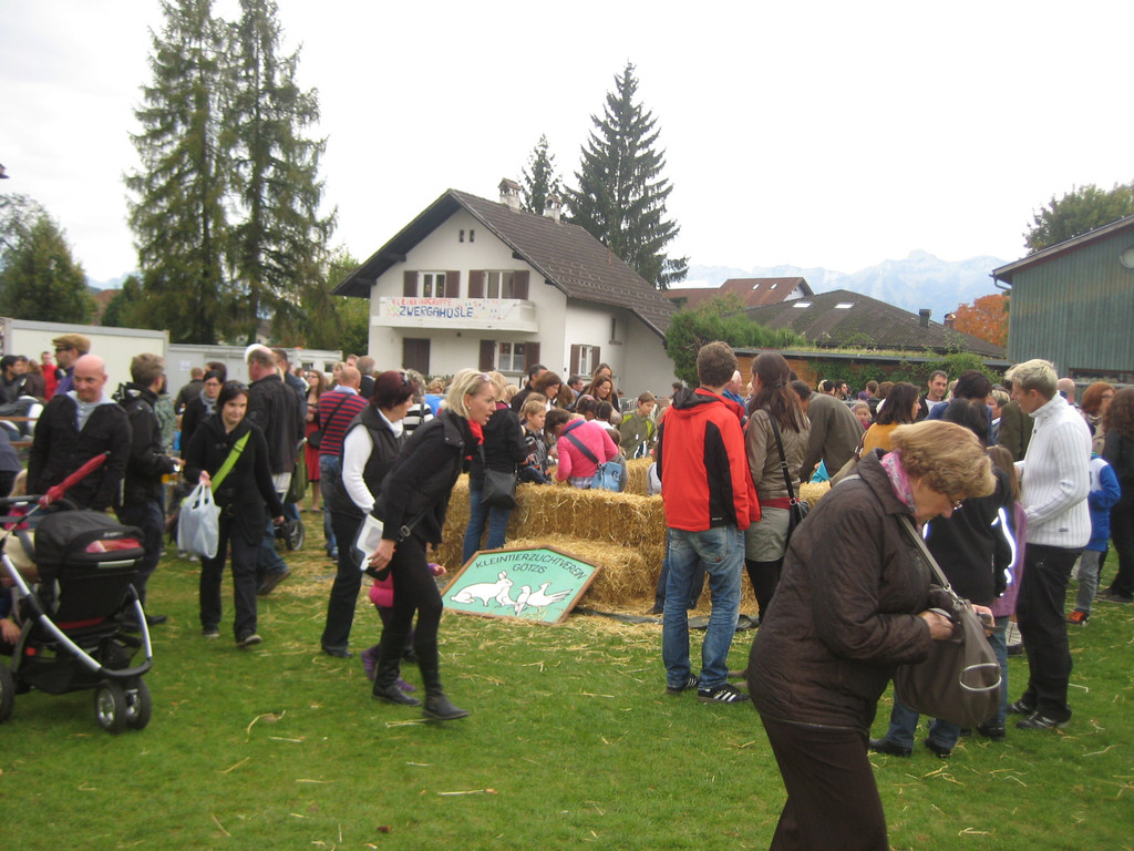 grilla_jpg 240_jpg-1350251198