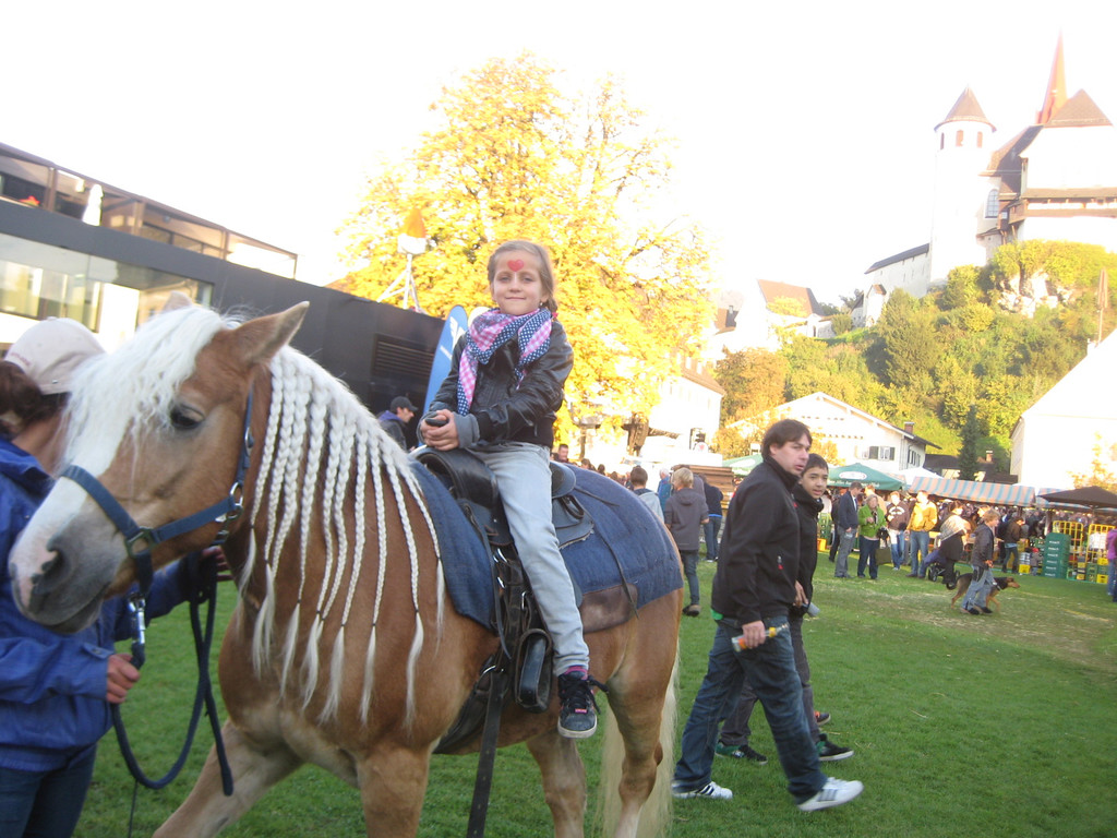 grilla_jpg 280_jpg-1350251237