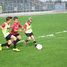 K1024_IMG_2474_JPG-1350272364