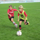 K1024_IMG_2554_JPG-1350272743
