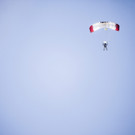IBD1093-20121014.jpg