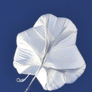 DAB2678-20121014.jpg