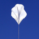 DAB2647-20121014.jpg