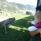 P1020770_JPG-1350287968