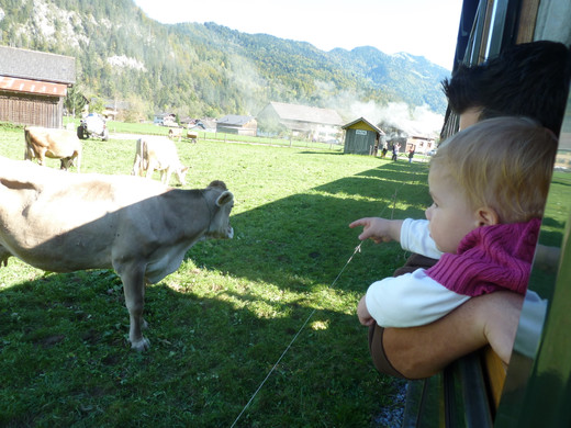 P1020770_JPG-1350287968