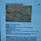 Oktober 14 043.JPG