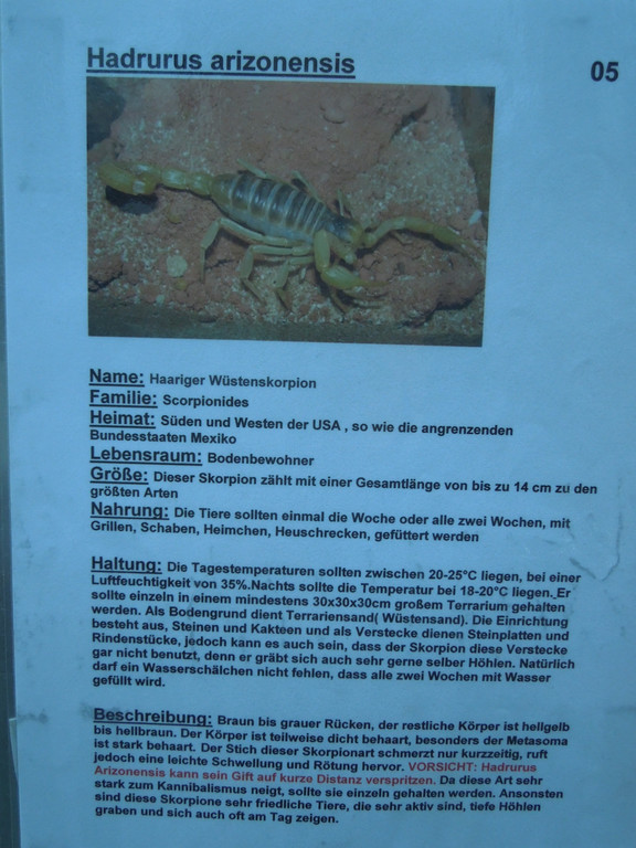 Oktober 14 043.JPG