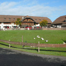 BILD2.jpg