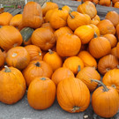 2012-10-14 12_26_52.jpg