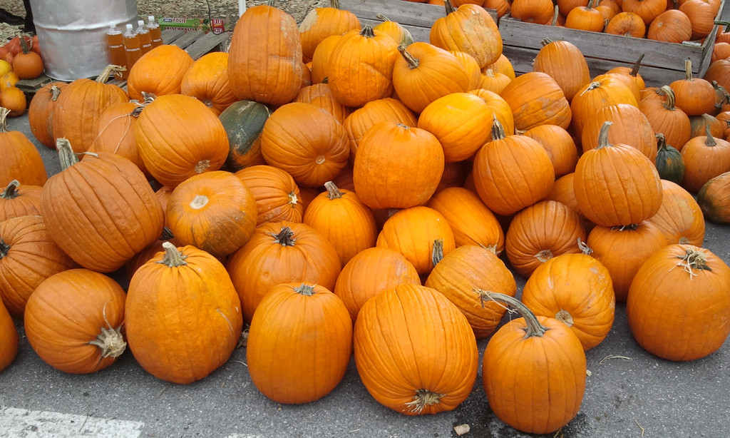 2012-10-14 12_26_52.jpg