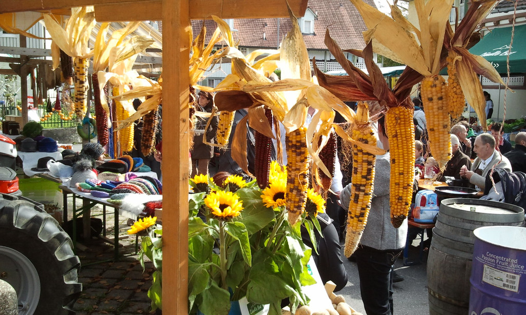 2012-10-14 12_40_02.jpg