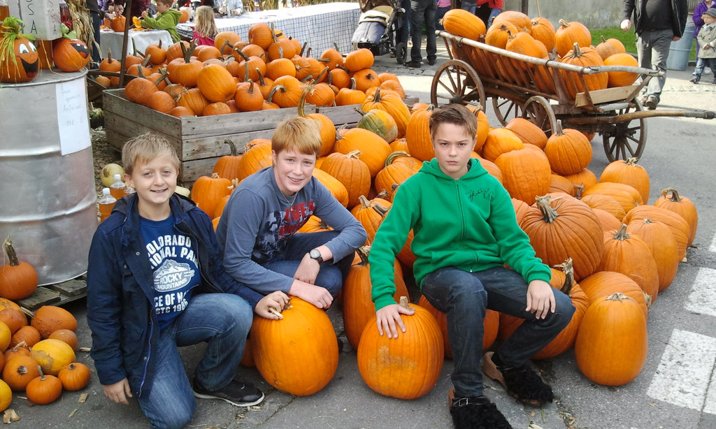 2012-10-14 12_40_46.jpg