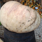 2012-10-14 12_41_26.jpg